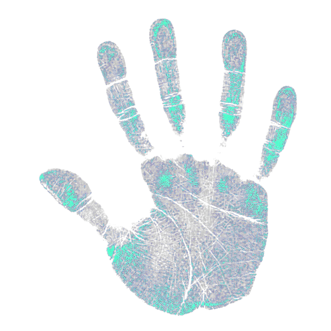 Huella de una mano revelada