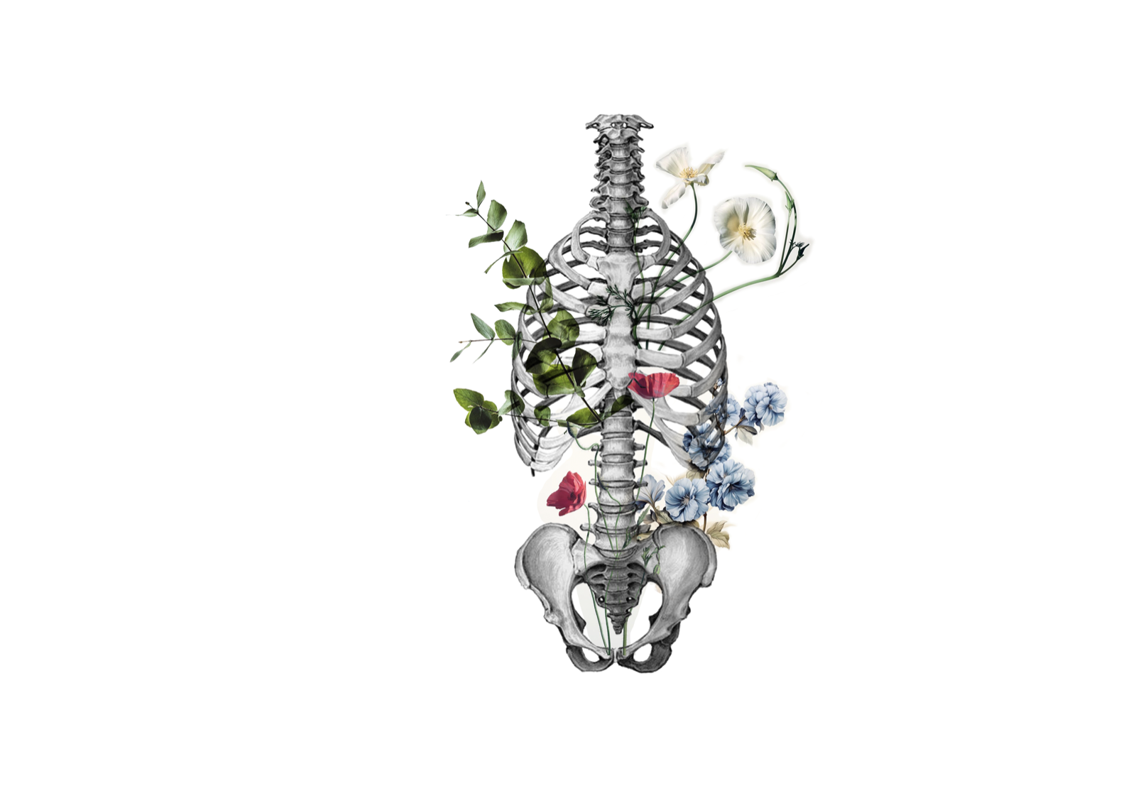 Torso anatómico entrelazado con flores y hojas