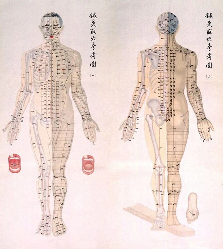 Lámina japonesa de referencia para localizar puntos de acupuntura, figura de frente y figura de espalda