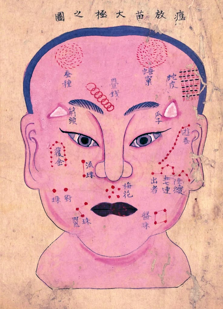 Diagrama japonés histórico del rostro